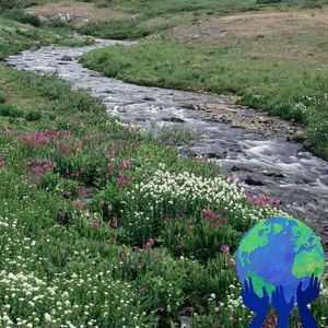 Meet your Posher, Sonia